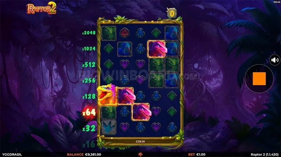 Live Casino Special Event
